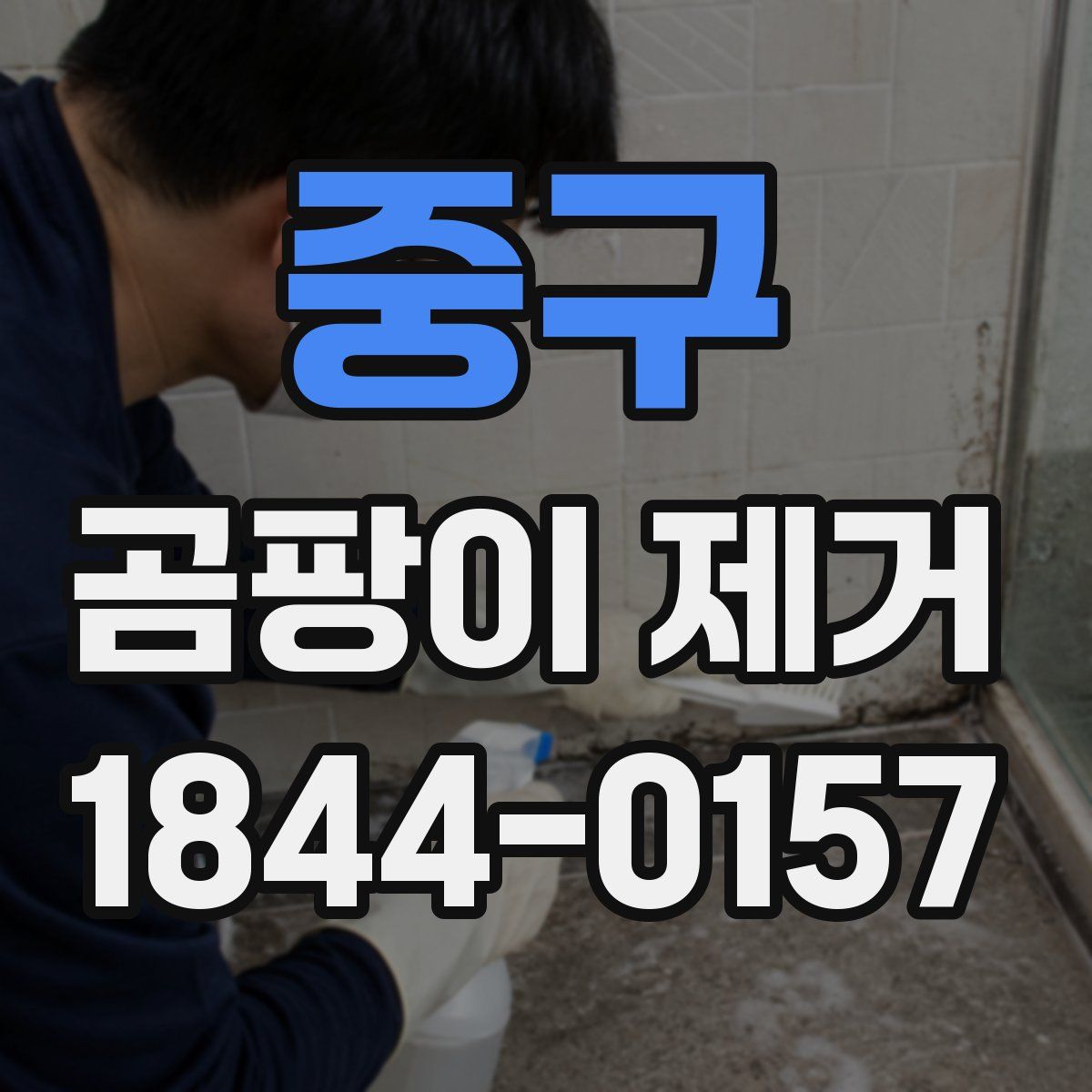 중구 곰팡이 제거