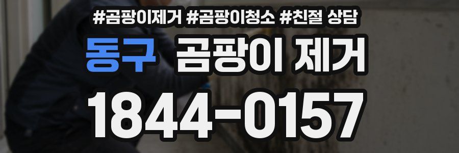 동구 곰팡이 제거