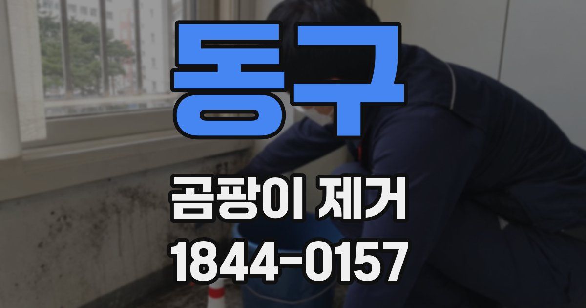동구 곰팡이 제거