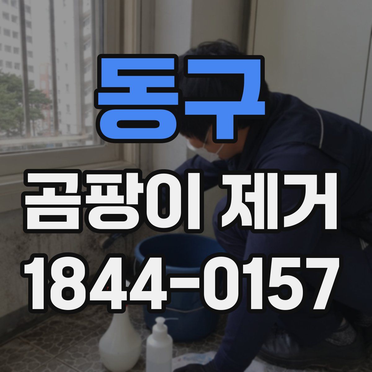 동구 곰팡이 제거
