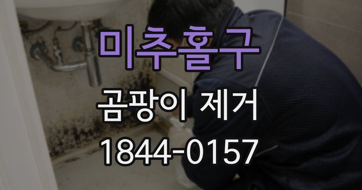 미추홀구 곰팡이 제거
