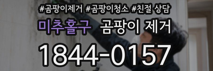 미추홀구 곰팡이 제거