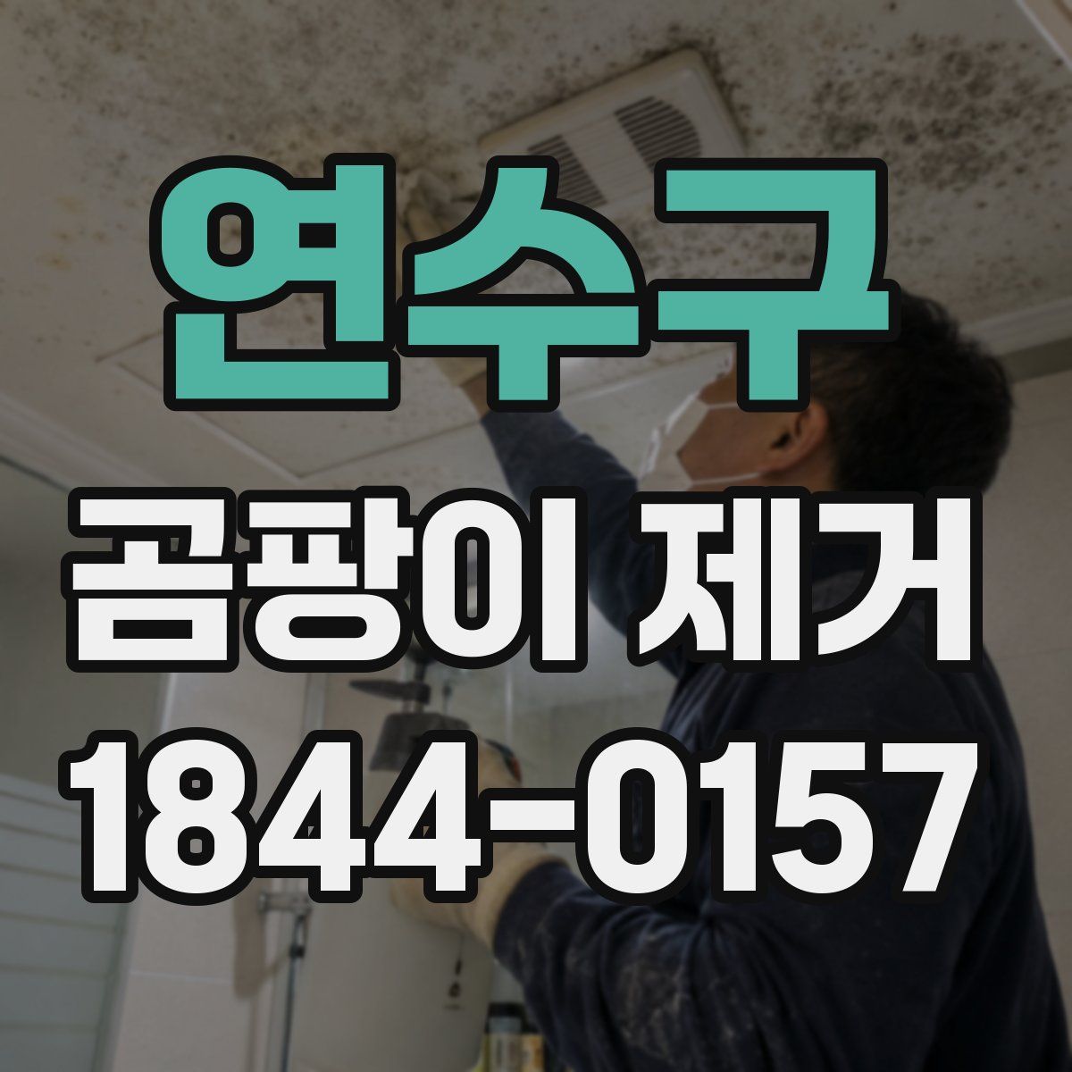 연수구 곰팡이 제거