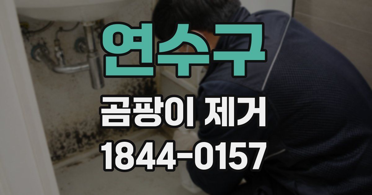 연수구 곰팡이 제거
