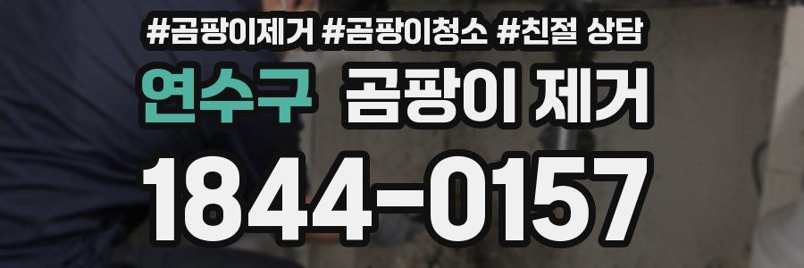 연수구 곰팡이 제거