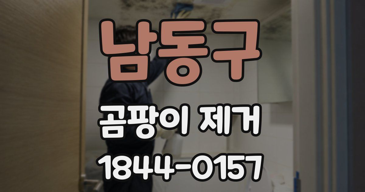 남동구 곰팡이 제거