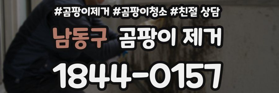 남동구 곰팡이 제거