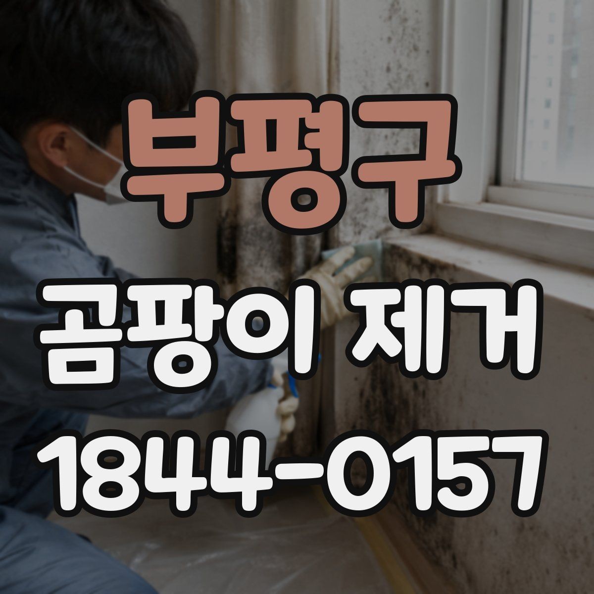 부평구 곰팡이 제거 전후로 달라지는 실내 관리법