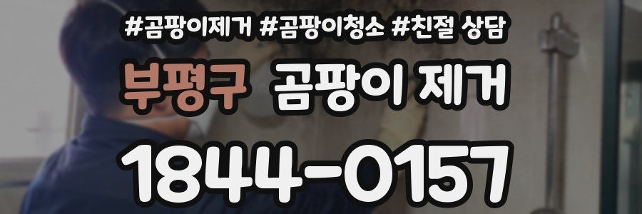 부평구 곰팡이 제거