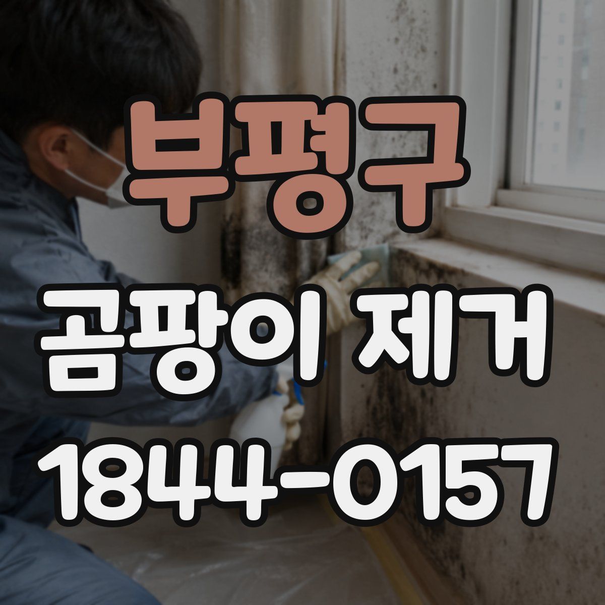 부평구 곰팡이 제거