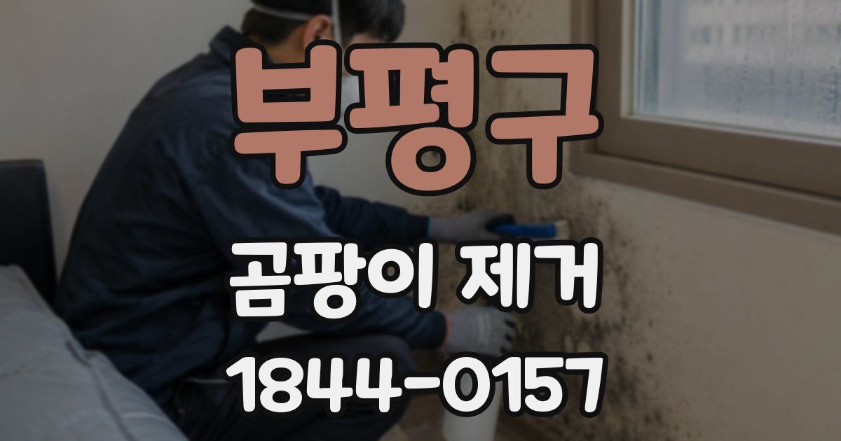 부평구 곰팡이 제거