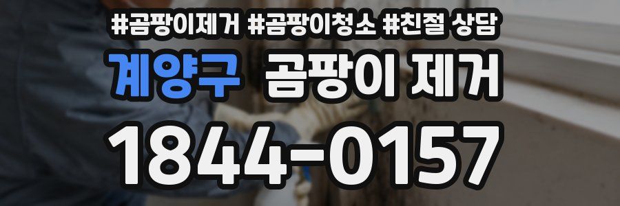 계양구 곰팡이 제거
