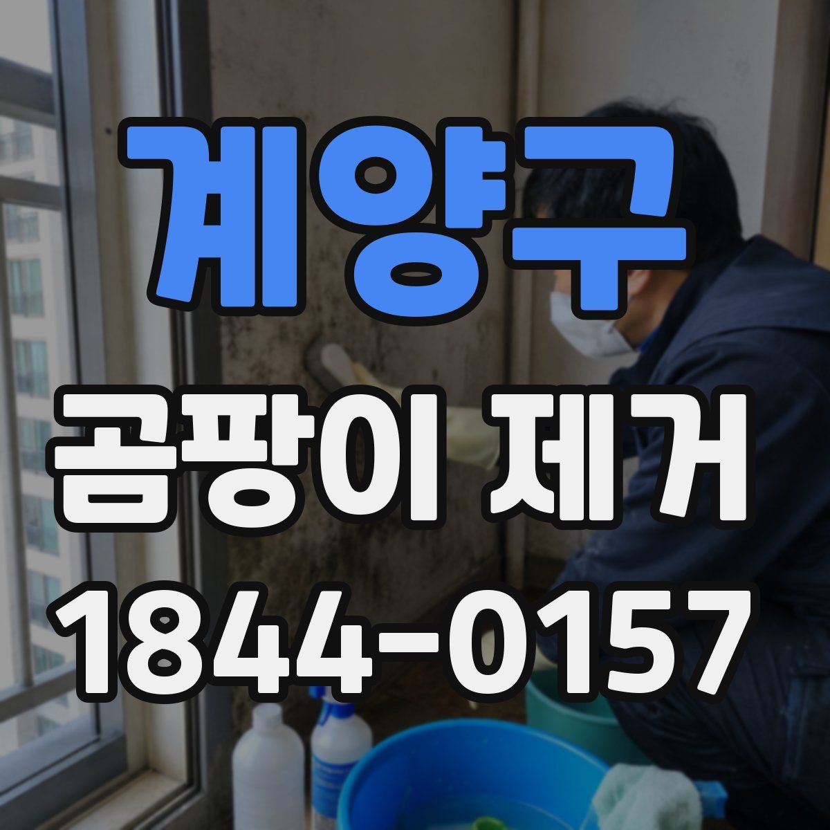 계양구 곰팡이 제거