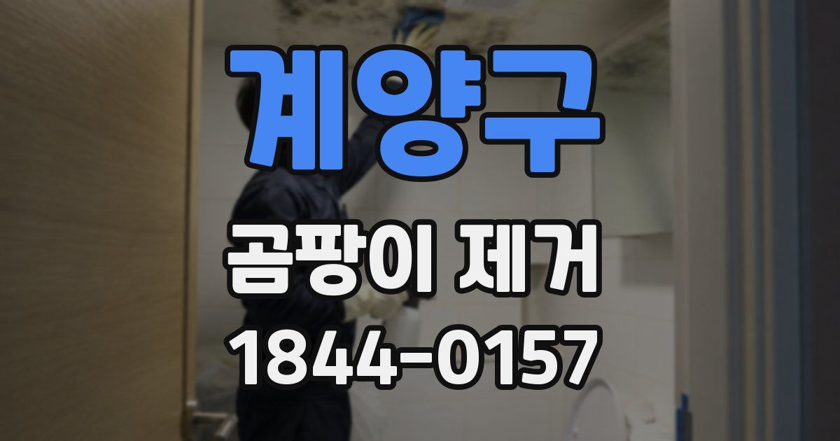 계양구 곰팡이 제거