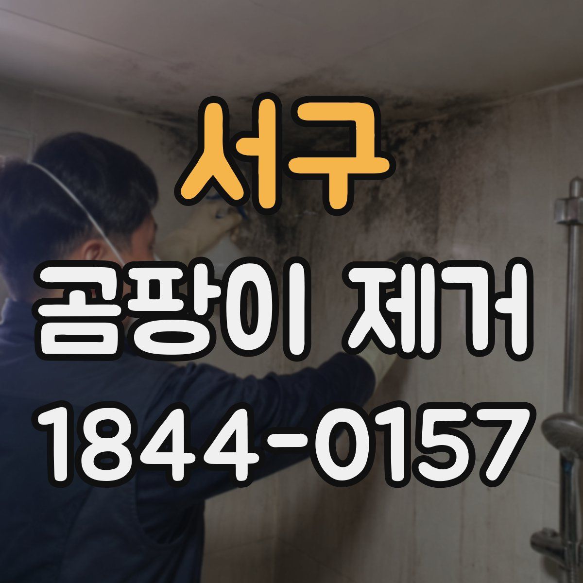 서구 곰팡이 제거