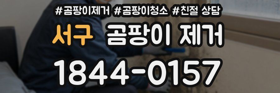 서구 곰팡이 제거