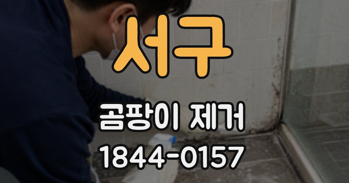 서구 곰팡이 제거