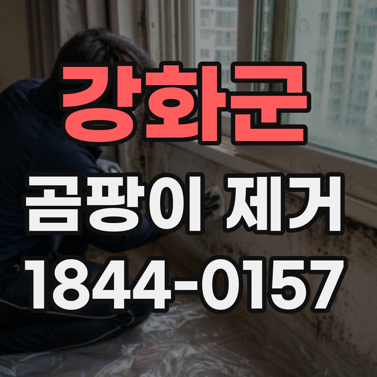 강화군 곰팡이 제거