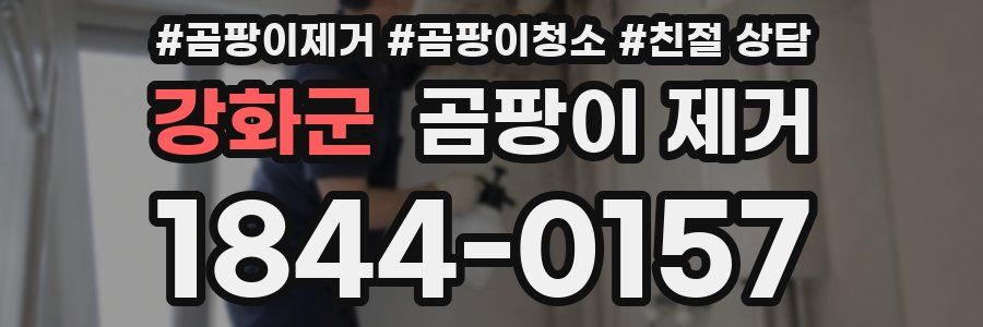 강화군 곰팡이 제거