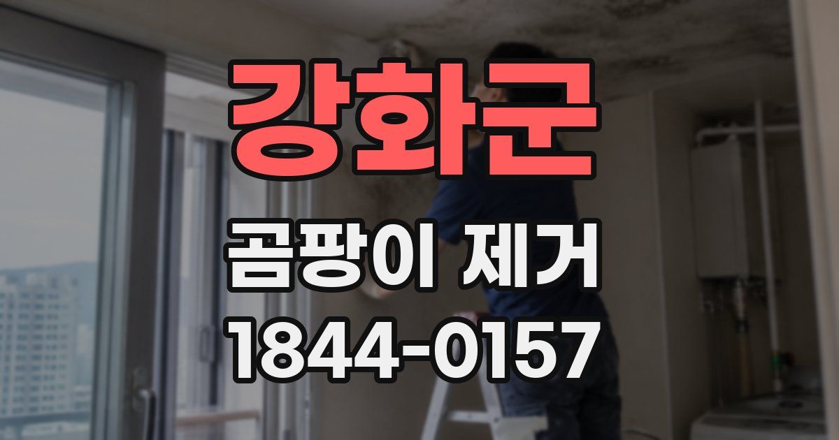 강화군 곰팡이 제거
