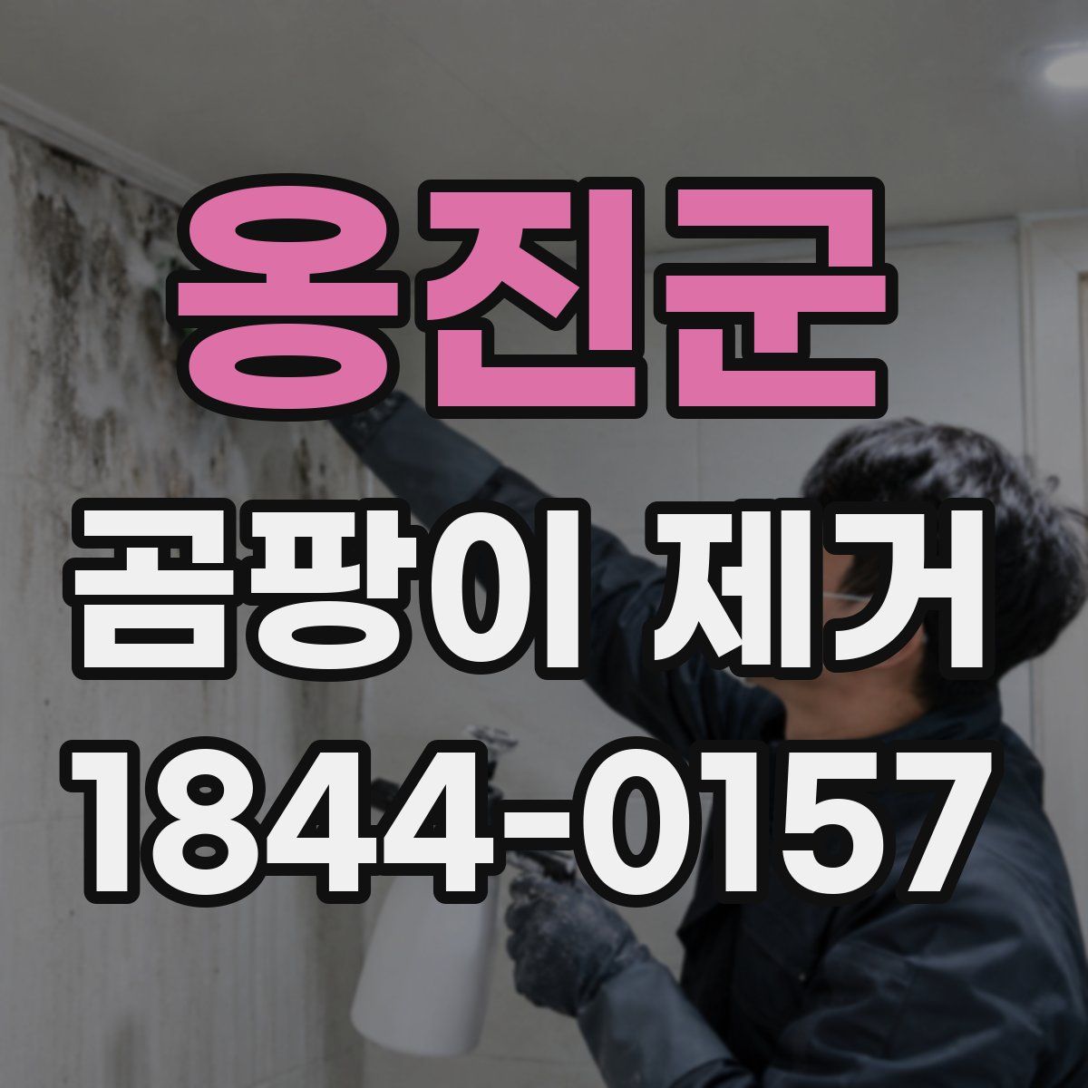 옹진군 곰팡이 제거