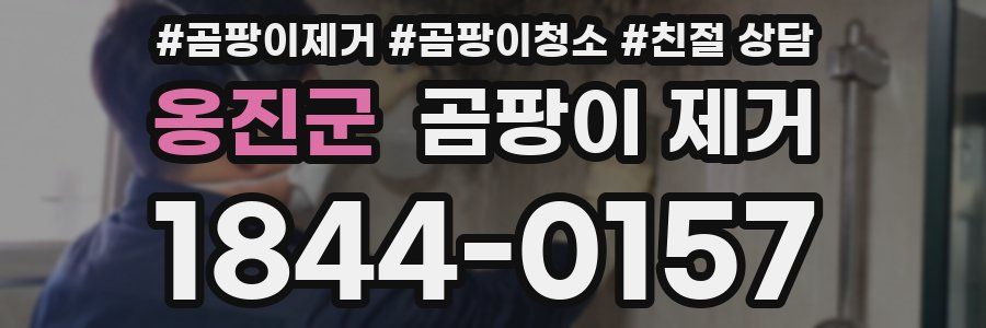 옹진군 곰팡이 제거