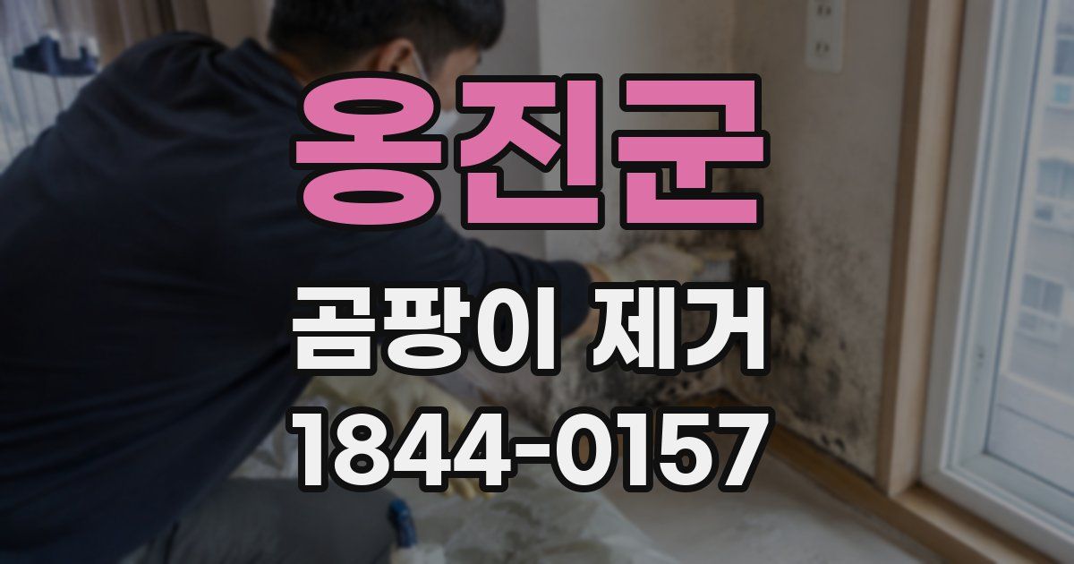 옹진군 곰팡이 제거