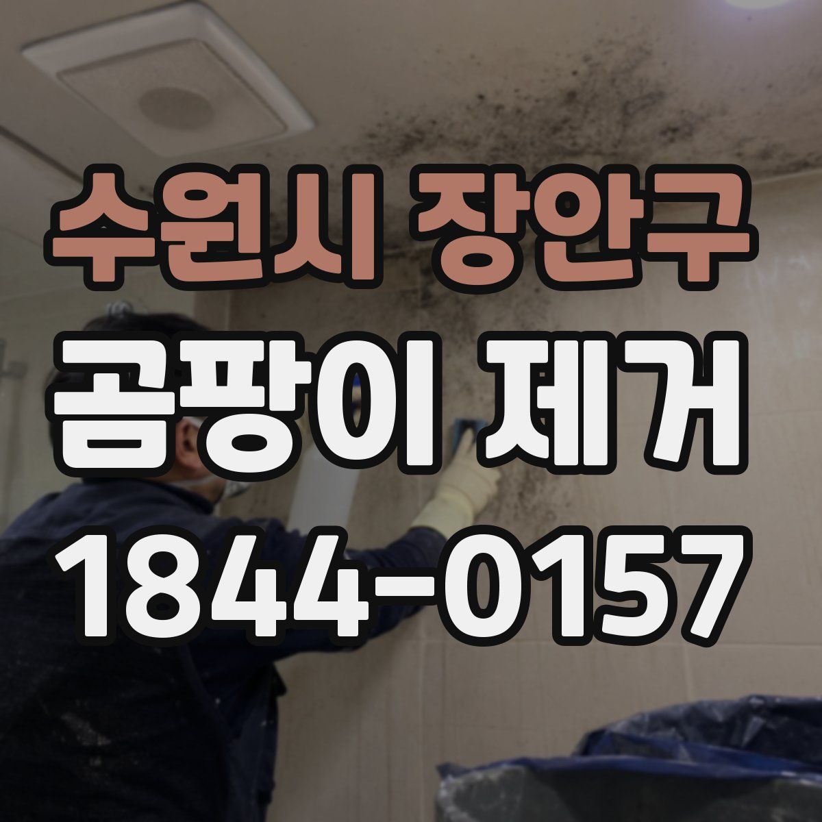 수원시 장안구 곰팡이 제거