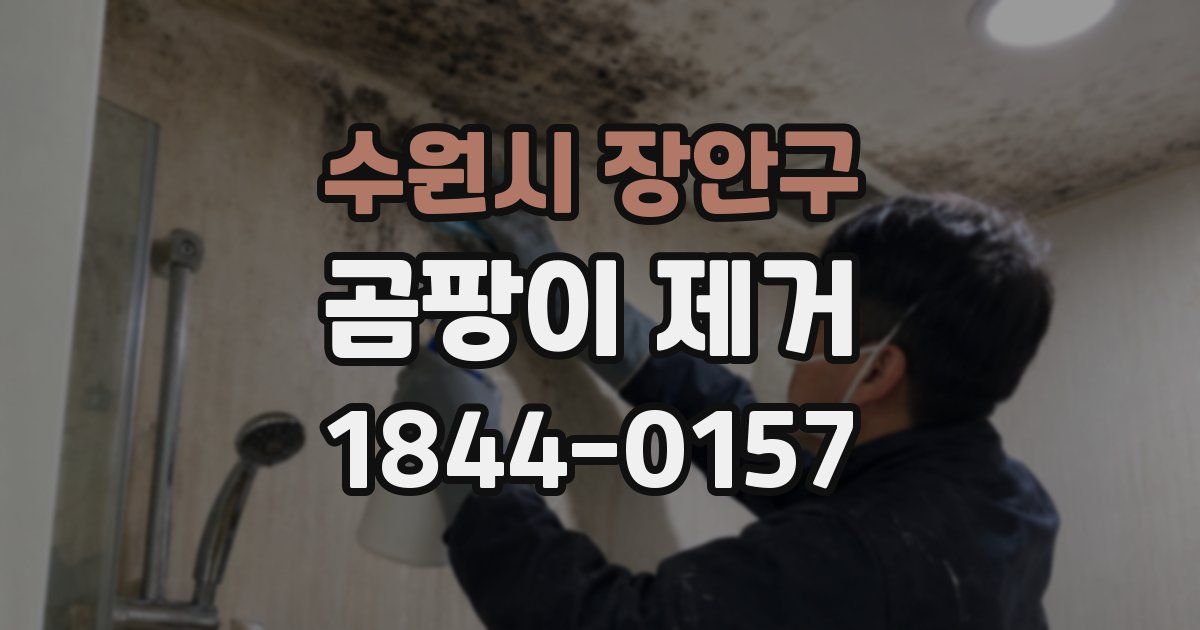 수원시 장안구 곰팡이 제거