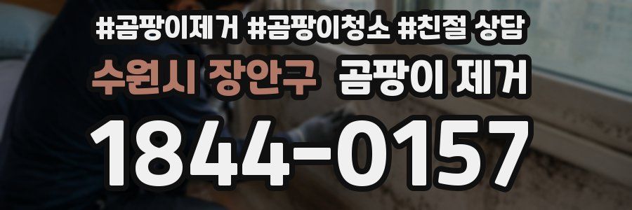수원시 장안구 곰팡이 제거