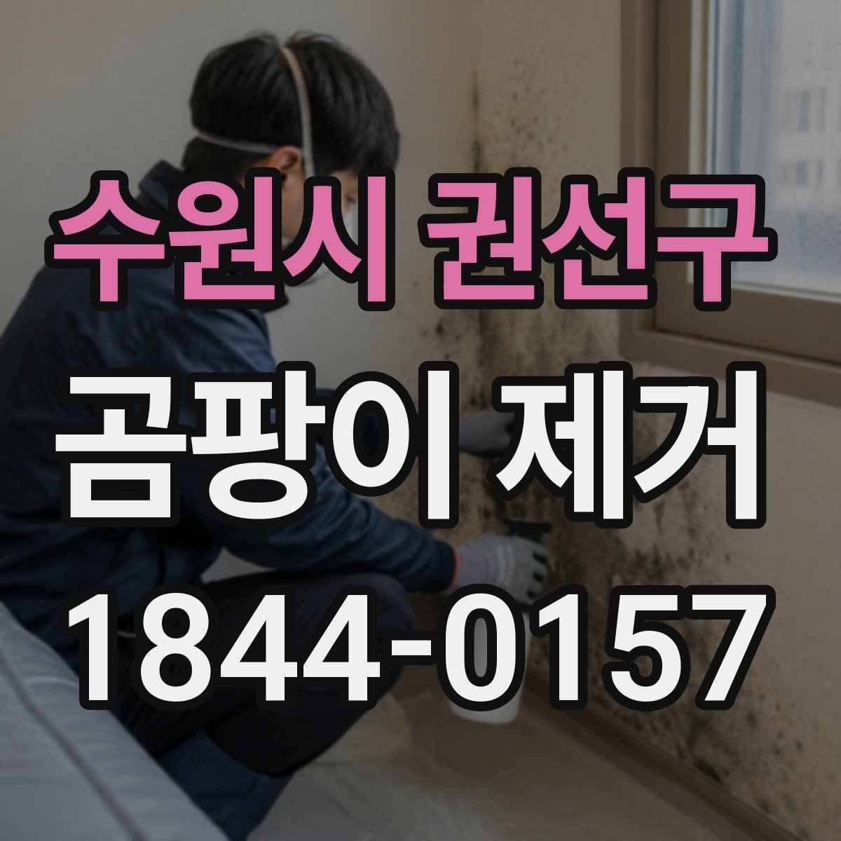 수원시 권선구 곰팡이 제거