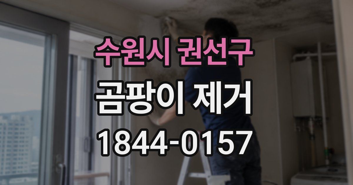 수원시 권선구 곰팡이 제거