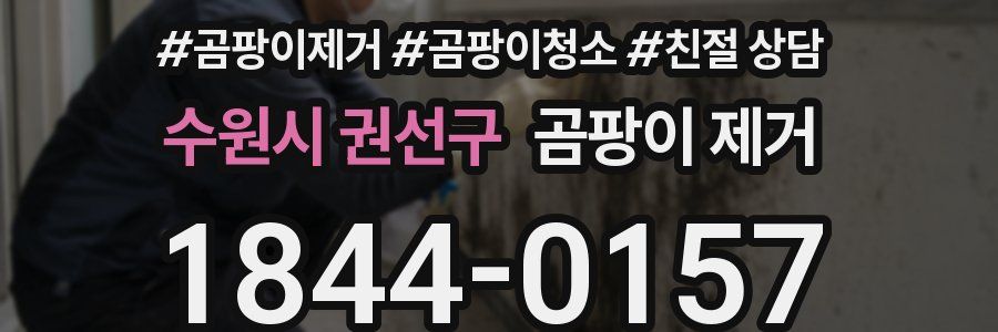 수원시 권선구 곰팡이 제거