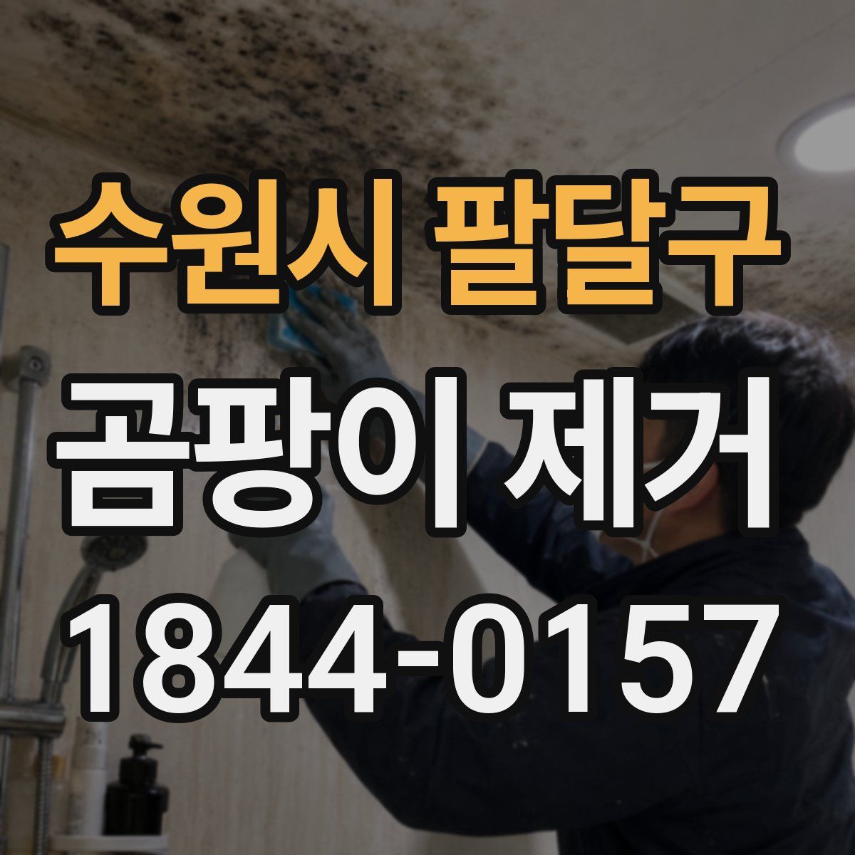 수원시 팔달구 곰팡이 제거