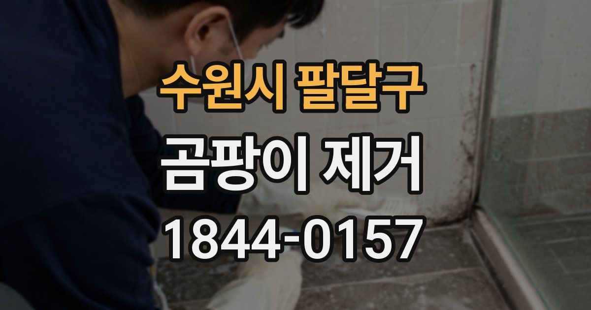 수원시 팔달구 곰팡이 제거