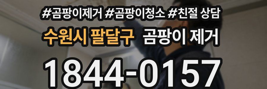 수원시 팔달구 곰팡이 제거