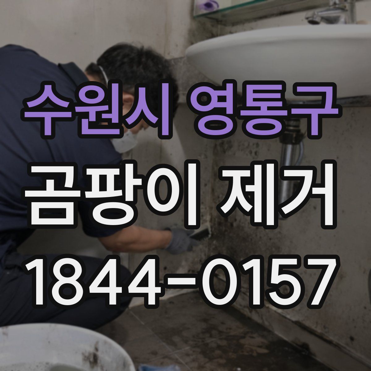 수원시 영통구 곰팡이 제거
