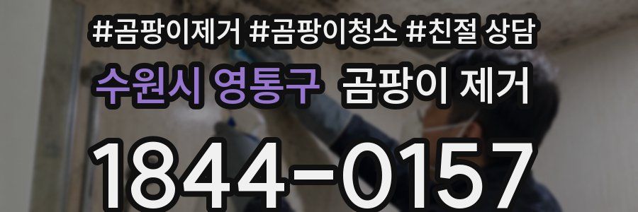 수원시 영통구 곰팡이 제거