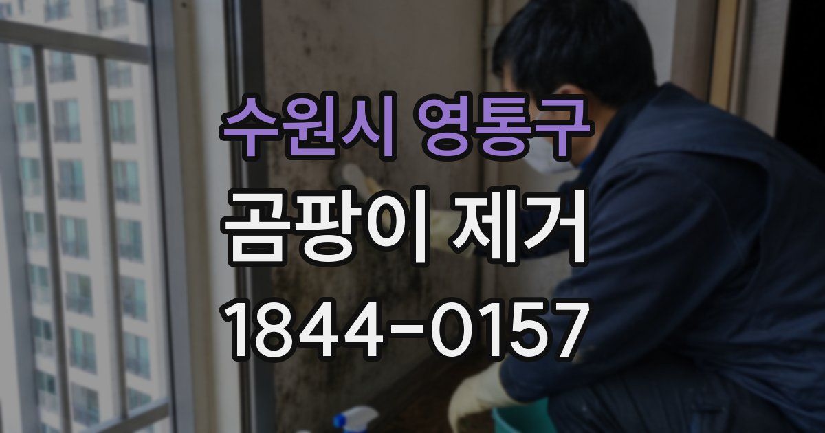 수원시 영통구 곰팡이 제거