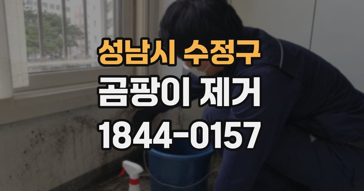 성남시 수정구 곰팡이 제거