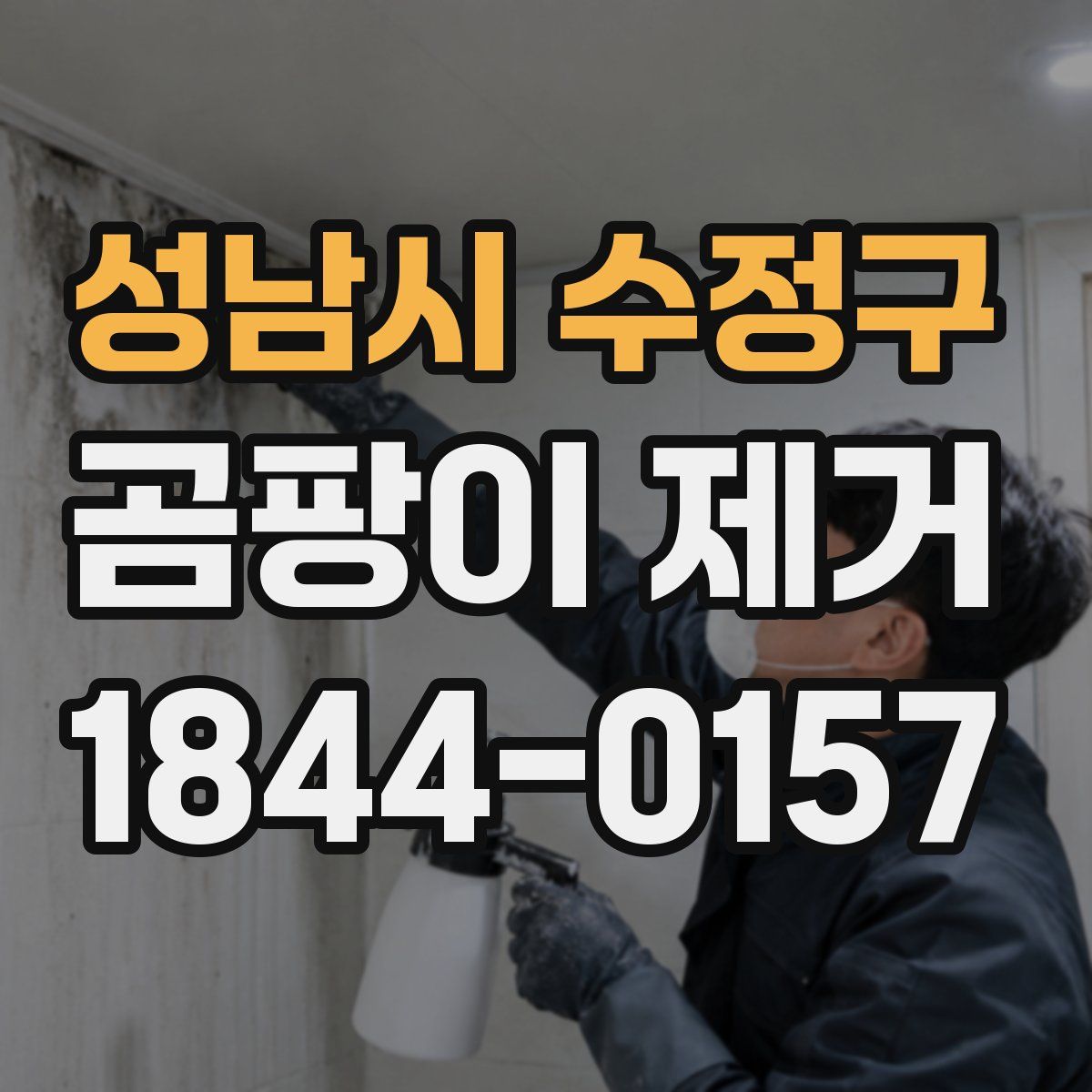성남시 수정구 곰팡이 제거