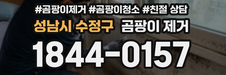 성남시 수정구 곰팡이 제거