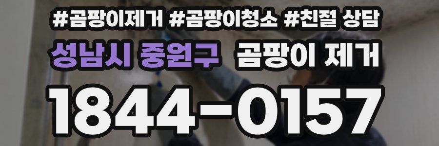 성남시 중원구 곰팡이 제거