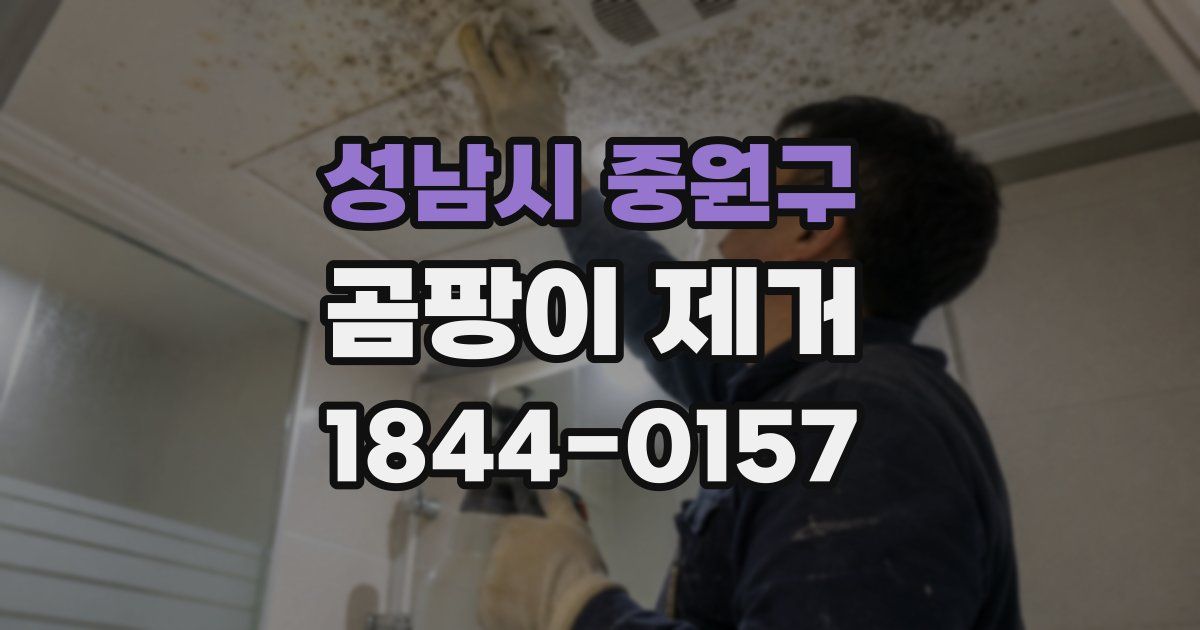 성남시 중원구 곰팡이 제거