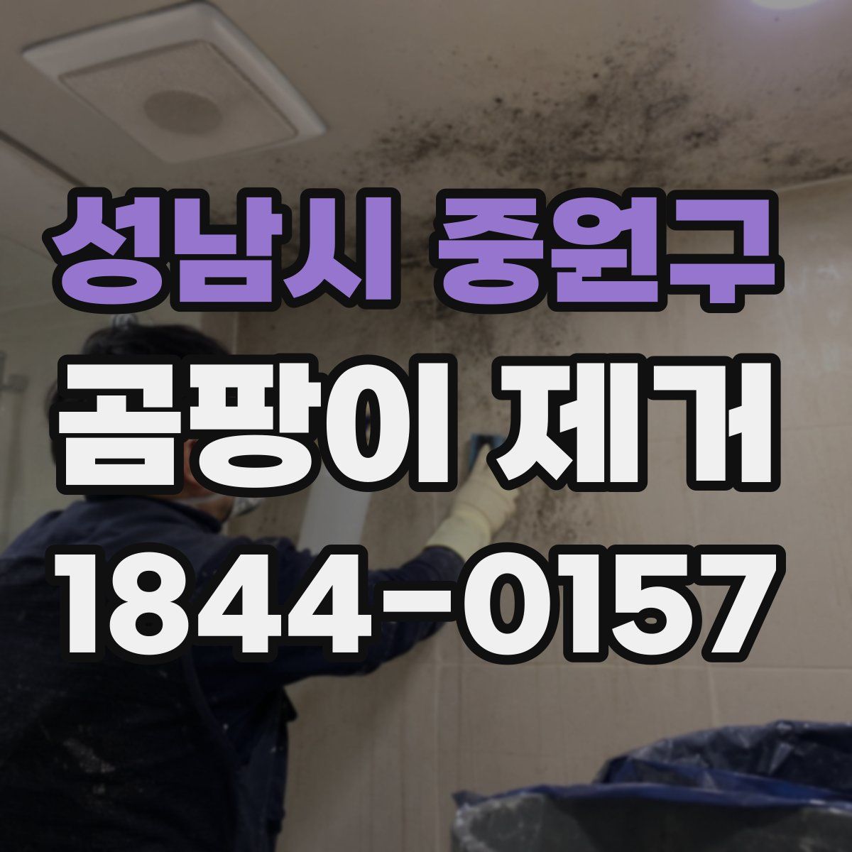 성남시 중원구 곰팡이 제거