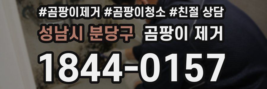 성남시 분당구 곰팡이 제거