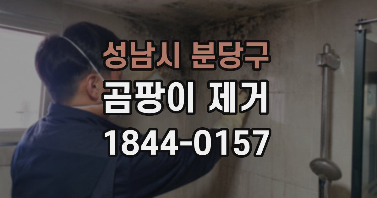 성남시 분당구 곰팡이 제거