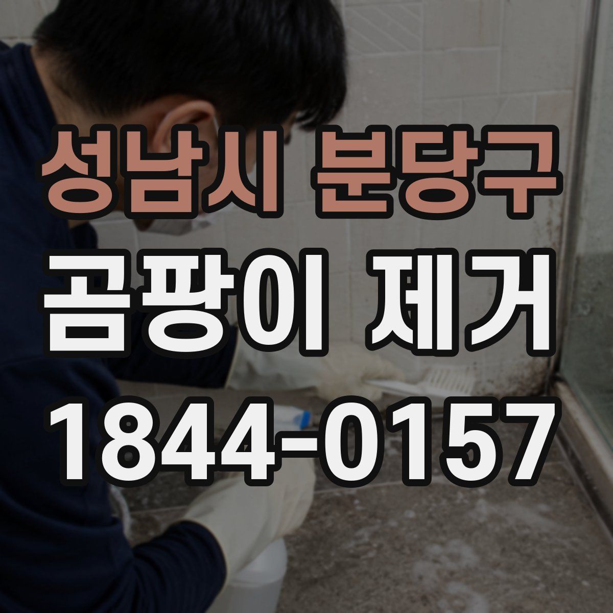 성남시 분당구 곰팡이 제거