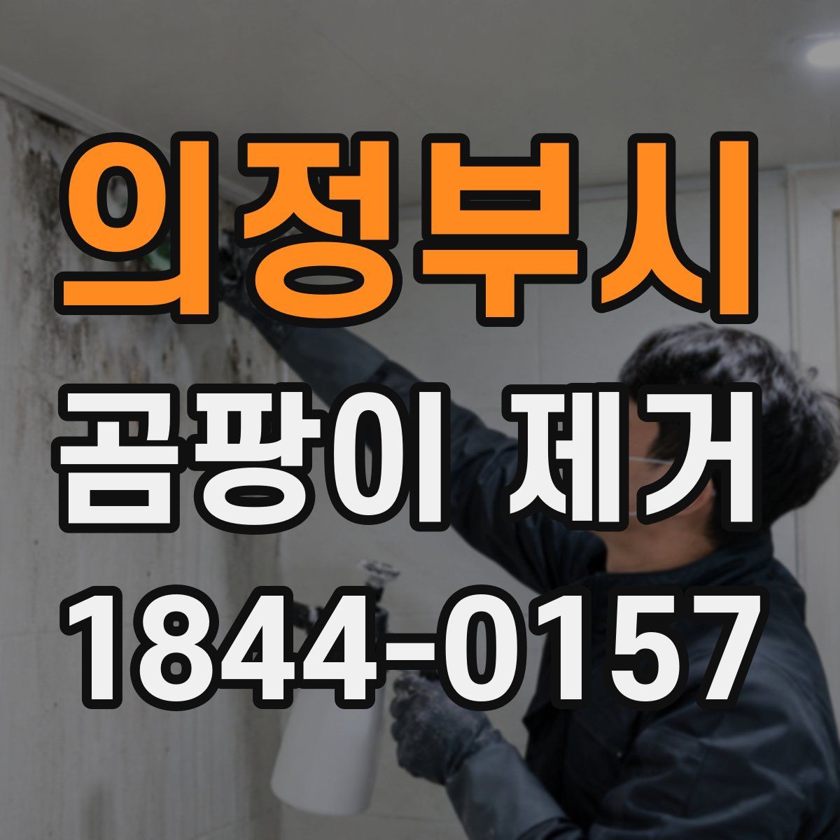 의정부시 곰팡이 제거