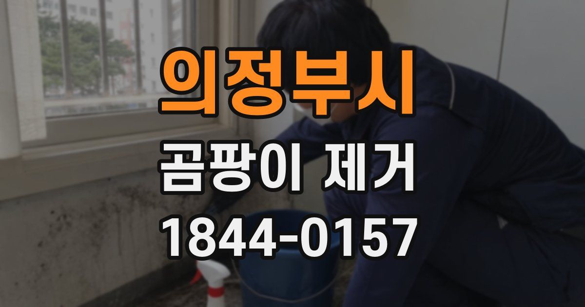 의정부시 곰팡이 제거